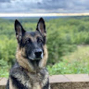 Meet your Posher, Shelby